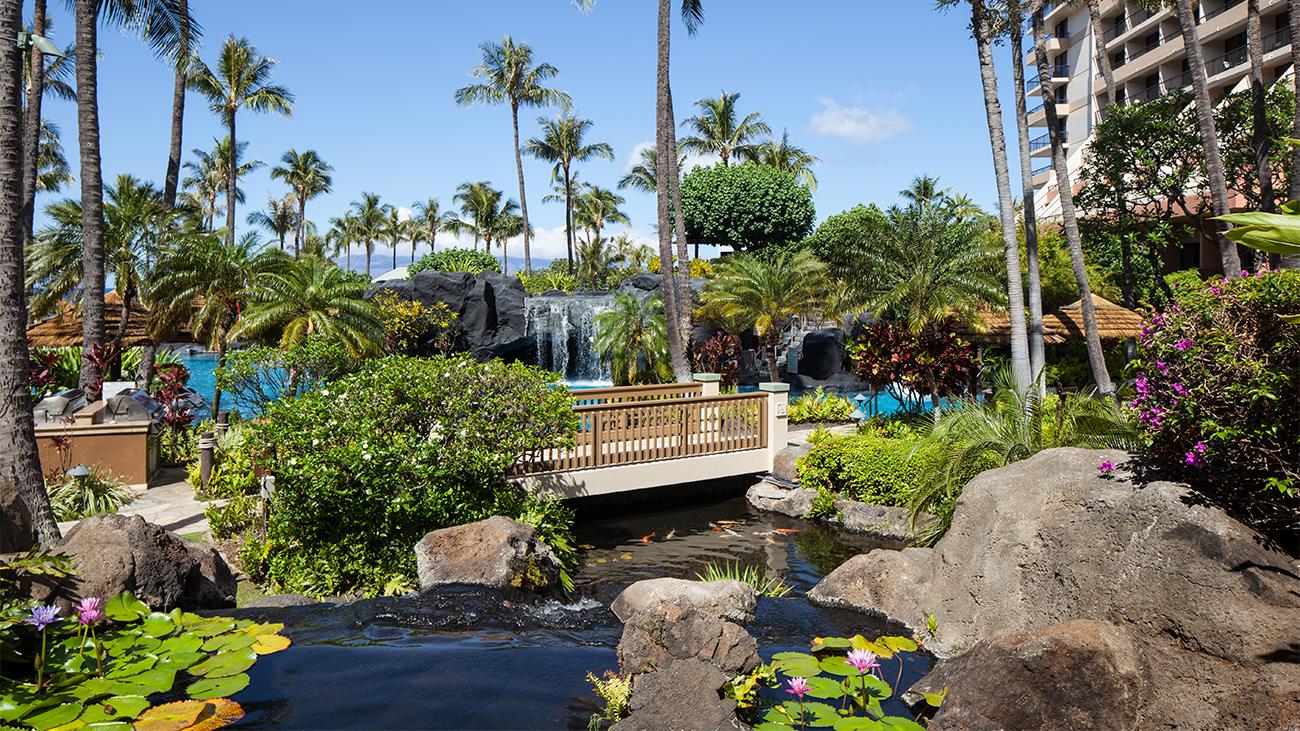 Resort Grounds - Koi Pond